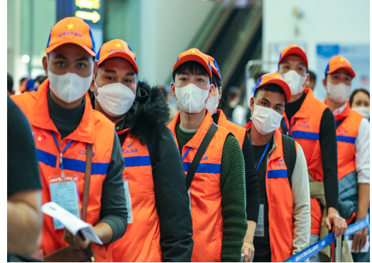 Thông báo kế hoạch tổ chức thi vòng 2 - kiểm tra tay nghề ngành sản xuất chế tạo, nông nghiệp và ngư nghiệp năm 2026